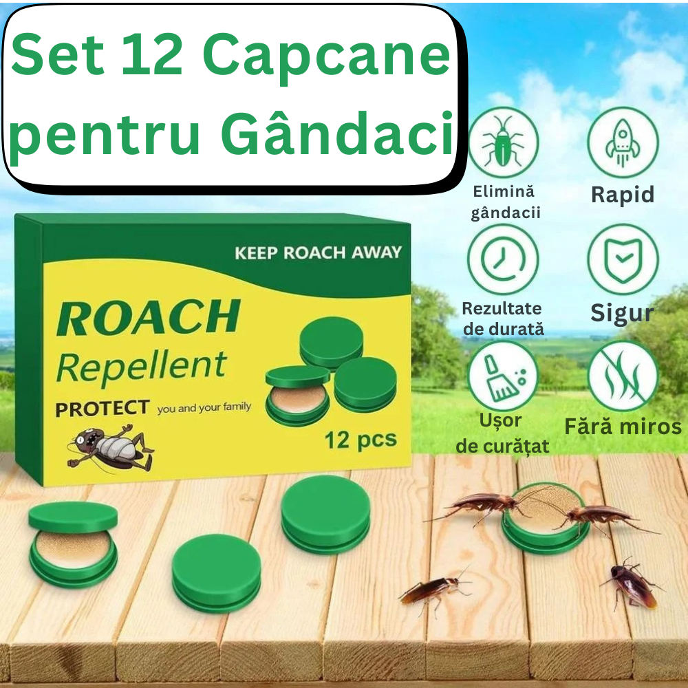 Set 12 Capcane pentru Gandaci