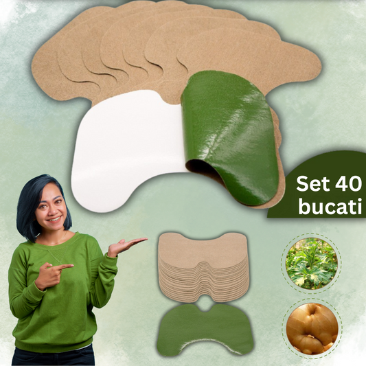 Set 40 Plasturi cu Extract de Pelin